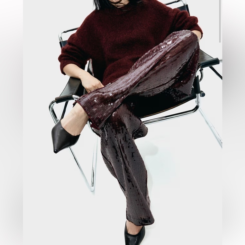 New H&M Sequined Burgundy Pants